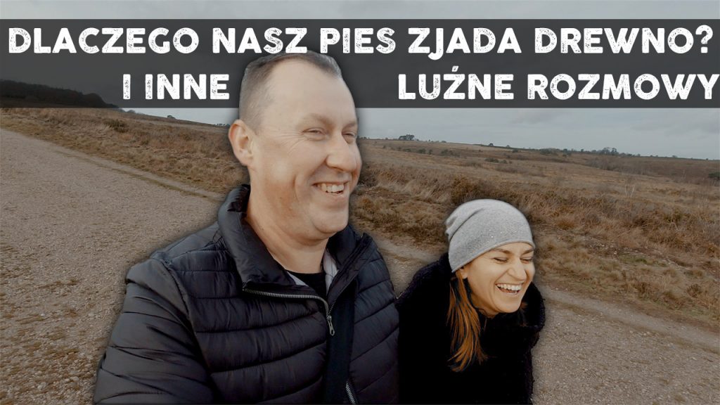 Vlog 010 1024x576